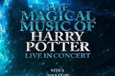 The Magical Music of Harry Potter  Dijon