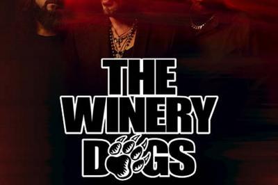 The Winery Dogs  Paris 11me