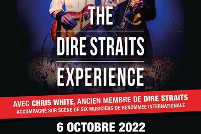 The Dire Straits Experience en tourne  Paris 19me