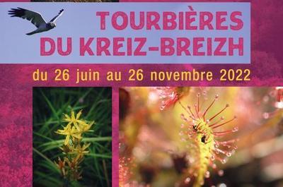 Tourbières du Kreiz Breizh à Kergrist Moelou