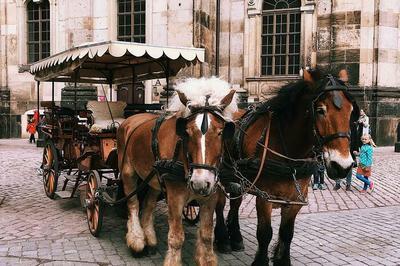 Tours en calche : En avant la musique !  Castanet Tolosan