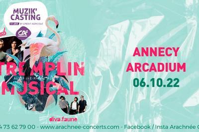 Tremplin Musical  Annecy