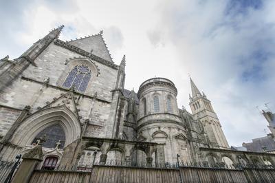 Une lecture passionnante de sept sicles d'architecture religieuse, Cathdrale Saint Pierre  Vannes