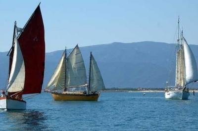 Venez dcouvrir une collection de vieux grements et autres bateaux de lgende  Canet en Roussillon