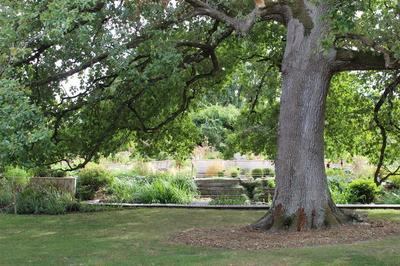 Venez explorez les jardins de Courisiana  La Romieu