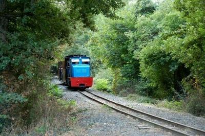 Venez faire une promenade en petit train !  Saint Lieux les Lavaur