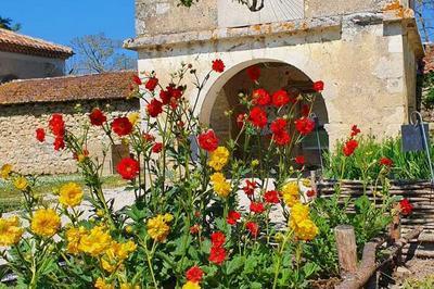 Venez vous initier au pouvoir colorant des plantes  Valence sur Baise