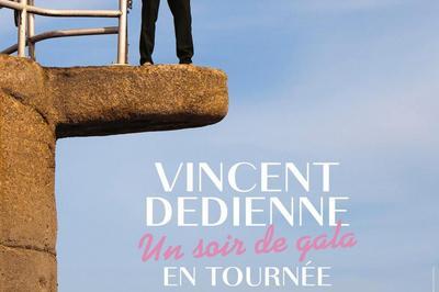 Vincent Dedienne  Vierzon