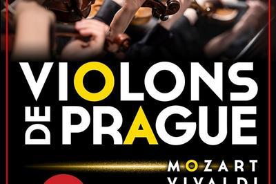 Violons De Prague à Lyon