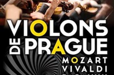 Violons de Prague  Bourg en Bresse