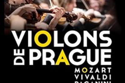 Violons de Prague  Reims