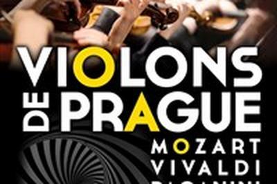 Violons de Prague  Rodez