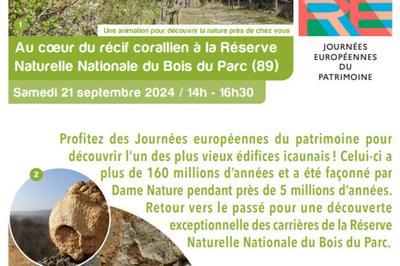 Visite  Au c'ur du rcif corallien  la Rserve Naturelle 
Nationale du Bois du Parc   Mailly le Chateau