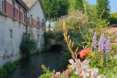 Visite au fil de la Canche  Hesdin