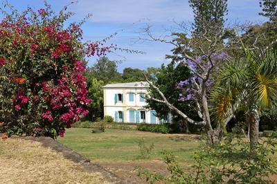 Visite botanique au Muse Historique De Villle  Saint Gilles Les Hauts