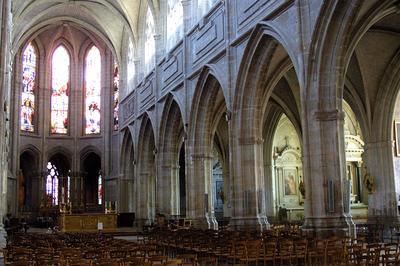 Visite Commente de la Cathdrale Saint-Louis  Blois