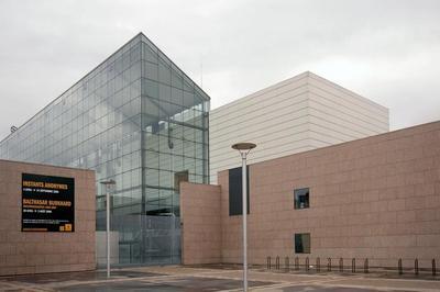 Visite commente de l'accrochage tre et paratre  Strasbourg