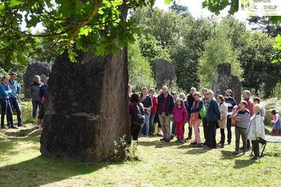 Visite Commente De L'archosite Des Menhirs De Monteneuf