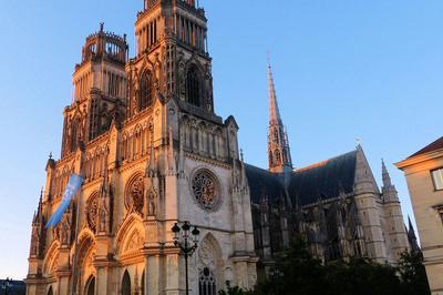 Visite Commentée De La Cathédrale Sainte Croix D'orléans à Orléans