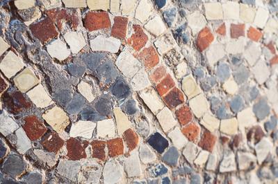 Visite commente de la mosaque gallo-romaine de Migennes