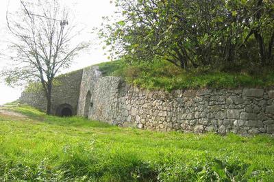 Visite commente des vestiges du Fort de Montmlian
