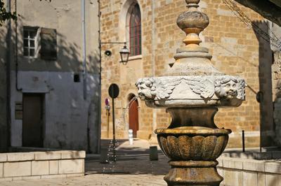 Visite commente du centre historique d'Orange