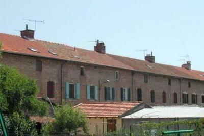 Visite commente : Salin de Giraud  La Tour d'Arbois