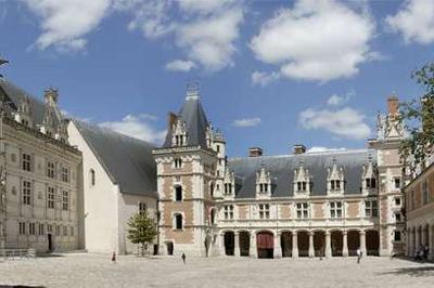 Visite D'orientation du Chteau Royal  Blois