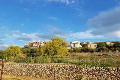 Visite d'un domaine agricole marseillais  Marseille