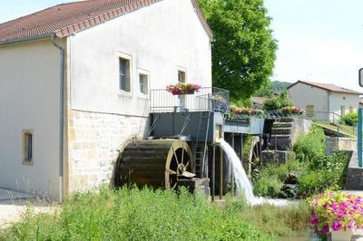 Visite D'un Moulin  Eau Avec Ses Diverses Utilisations  Poissons