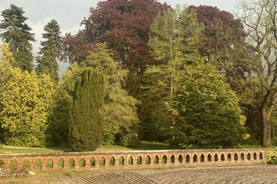 Visite d'un parc avec des arbres remarquables de l'intrieur du chteau de Rametz  Saint Waast