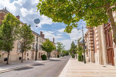 Visite d'une avenue emblmatique de la rgion  Epernay