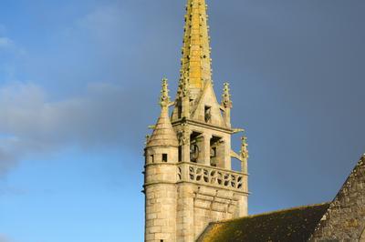 Visite de l'glise Saint-Pierre,  Plougat-Moysan  Plouegat Moysan