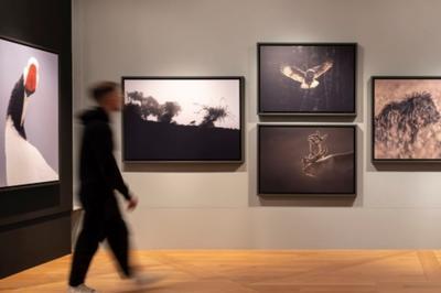 Visite de l'exposition   l'afft   Arc et Senans