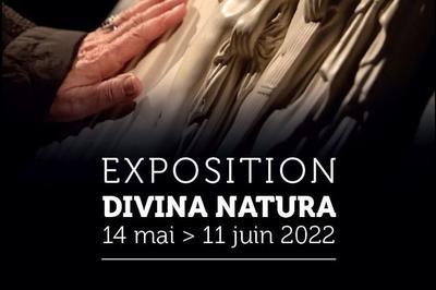 Visite De L'exposition Divina Natura  Carpentras