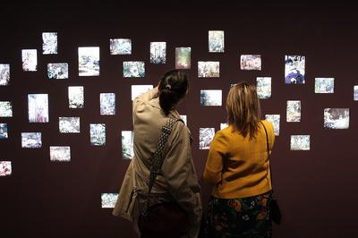 Visite de l'exposition  Natures Vivantes   Boulogne Billancourt