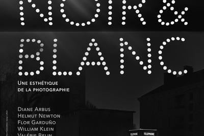 Visite De L'exposition Noir & Blanc Et Dambulation En Musique Avec Sonorium  Paris 8me
