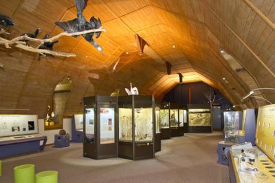 Visite de l'exposition permanente Le Blsois, carrefour de rgions naturelles  Blois