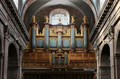 Visite de la cathdrale Saint-Christophe de Belfort