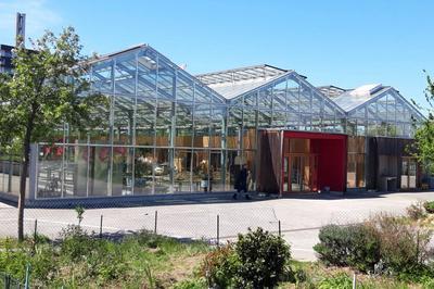 Visite de la serre Wangari  Saint-Ouen-sur-Seine