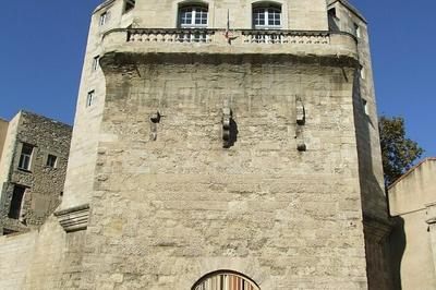 Visite dcouverte de la tour de la Babote  Montpellier