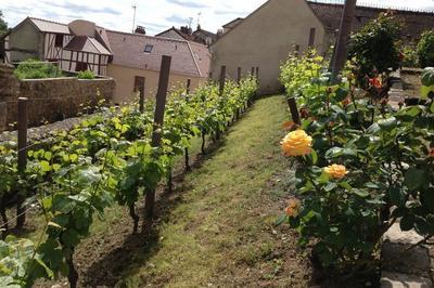 Visite Dcouverte De La Vigne  Mantes-la-jolie : Chai Du Clos Des Vieilles Murailles, Centre Abel Lauvray  Mantes la Jolie
