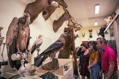 Visite dcouverte des collections scientifiques et artistiques de l'Universit de Rennes