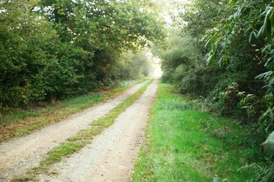 Visite des Landes du Fuilet  Montrevault-sur-vre