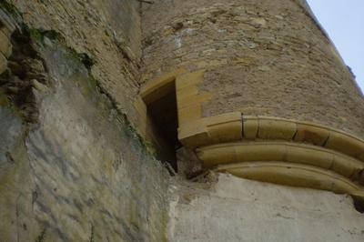 Visite des ruines du chteau et des moulins de Moulin l'Arconce  Poisson