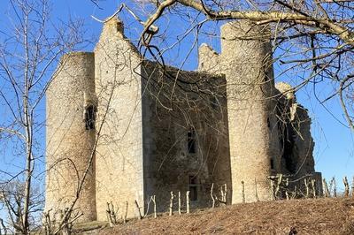 Visite des ruines du manoir de Montlebeau du XVe sicle  Vareilles