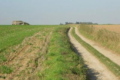 Visite du champs de Bataille  Bouvines