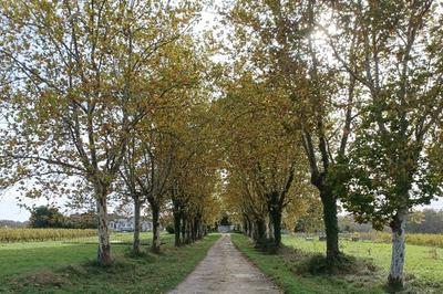 Visite du domaine de Sentout prsente par des vignerons paysans  Lignan de Bordeaux