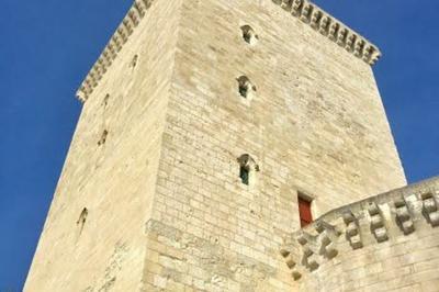 Visite du donjon mdival et diverses animations  Lesparre Medoc