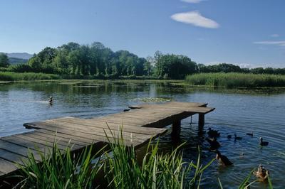 Visite du hameau et du marais de Braille  Entrelacs